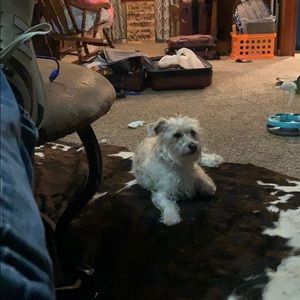 Meet your Posher, Carson